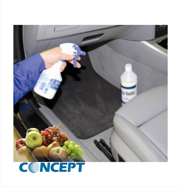 Concept Odour Router Fruit Delight (1ltr)